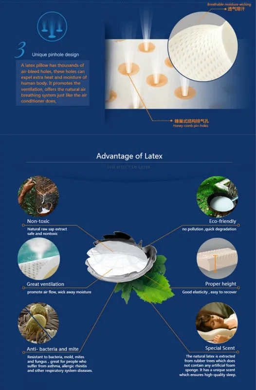 Extra Long Double Latex Pillow